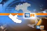 Rai TG Regionali logo